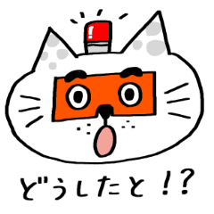 博多にわかにゃんこ パート２ Line スタンプ Line Store