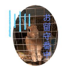 hana_20210526182354