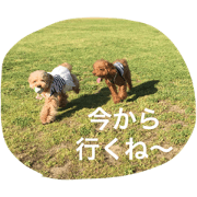 5Dog's Life