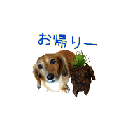 sachio._20210526182735