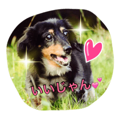 minami and choco