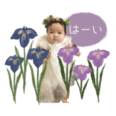 ayame__coton sticker