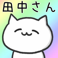 Cat FOR TANAKA Daily Use