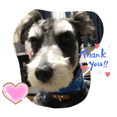 Ayumi_20210526183321