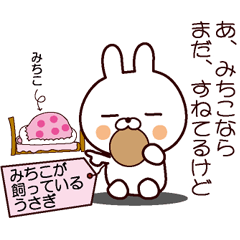 Michiko's rabbit
