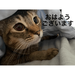 Dango sisters_20210526