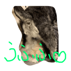 Ayumi_20210526202844