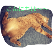 barara
