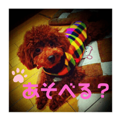 junko_20210526221830