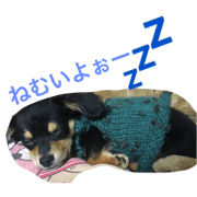 Tocochanzstamp Tocochanzstamp