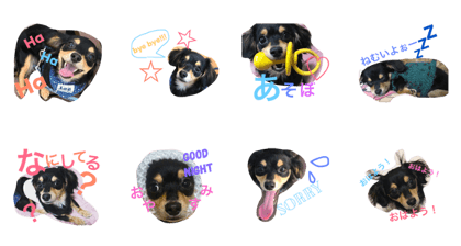 Tocochanzstamp Tocochanzstamp