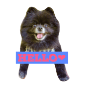 wonderful north friends