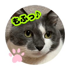 KUU_20210527032529