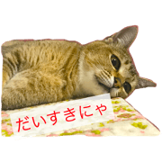 Coco and Maron Coco and Maron