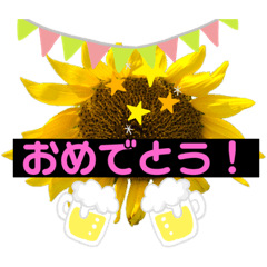 k.shin_20210526190702