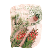 LOVE succulent LOVE succulent