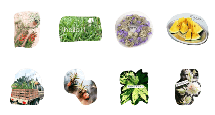 LOVE succulent LOVE succulent