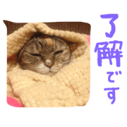 lovely RINGO lovely RINGO