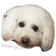 Tominaga Family Tominaga Family