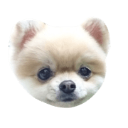 #CoCo