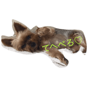 momo's stamp0224 momo's stamp0224