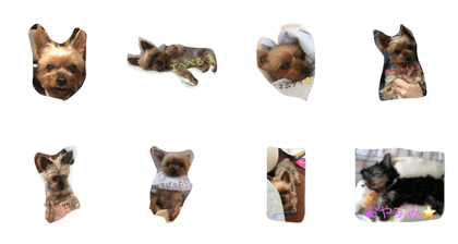 momo's stamp0224 momo's stamp0224