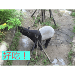 動物園站