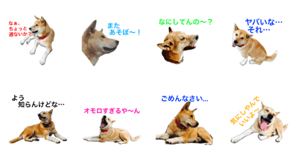 ponpon PONTA_2 ponpon PONTA_2