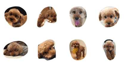 Oyasumi nasai Oyasumi nasai