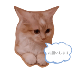 YUKA_20210527111248