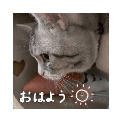 nonta_20210526212215