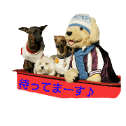 basifamily basifamily