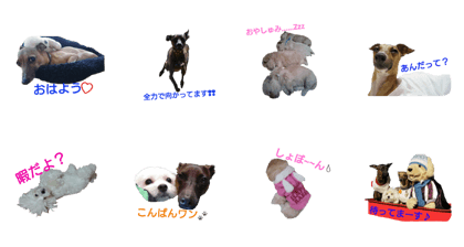 basifamily basifamily