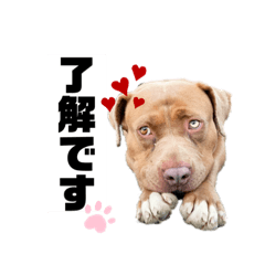 natsumi_20210526220959