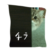 Maron's Days Maron's Days