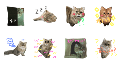 Maron's Days Maron's Days