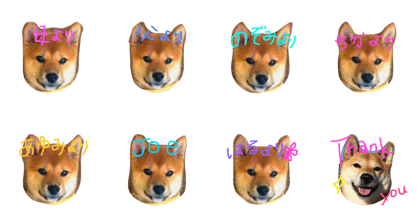 shibaharuchan3 shibaharuchan3