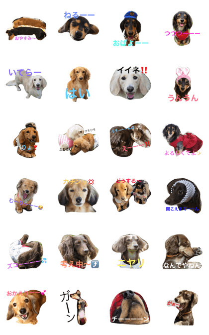 5 ranger daily stamp