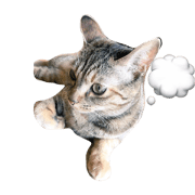 PON & MARON PON & MARON