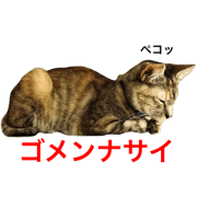 Miss Lily Stamp02 Miss Lily Stamp02