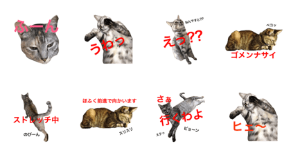 Miss Lily Stamp02 Miss Lily Stamp02