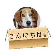 Ushiozaki_20210527114715