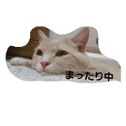 ashinagamanchikannomitsunari ashinagamanchikannomitsunari