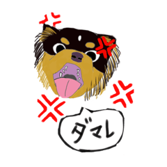 panda_20210526225101