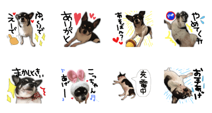 The pace cocchan Ver.2 The pace cocchan Ver.2