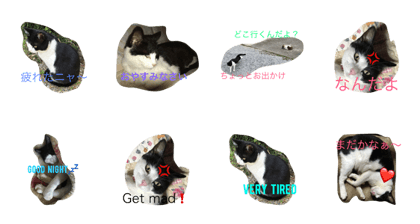 love cat name is kuro