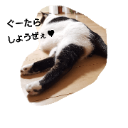 Mei&Kina's Tweetspart2