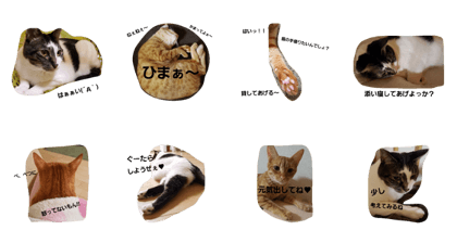 Mei&Kina's Tweetspart2