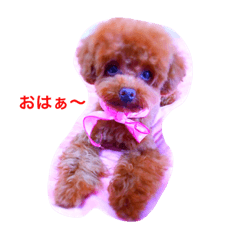 Candy's day