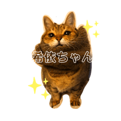kii_20210527002455